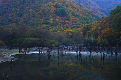 Iwate Prefecture Autumn Canyon