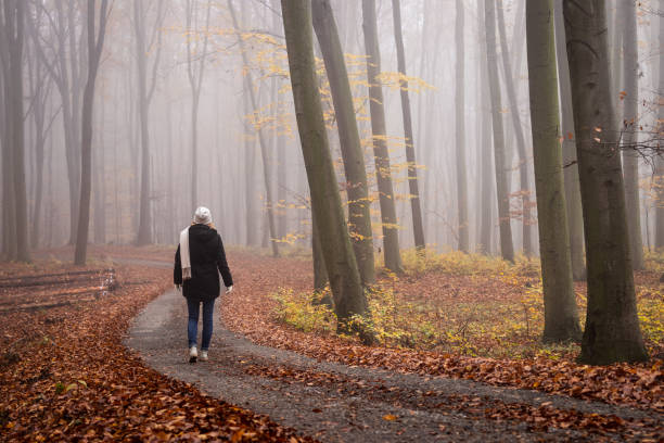mujer caminando por la carretera en el bosque de otoño nebulosa - autumn women park forest fotografías e imágenes de stock