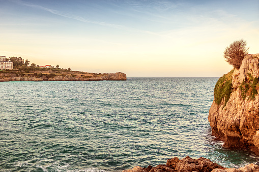 Typical Maltese landscape with thorny trees, dry vegetation, sharp local rocks, blue sea and rocky shores, mediterranean sea, natural background, water surface, sunlight, sea bay, beauty and charm, natural surroundings, summer, travel and leisure.