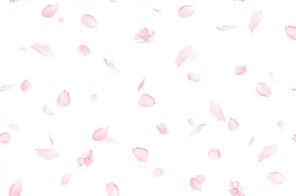 Photo of Seamless pattern background of petals scattered with cherry blossoms. Watercolor illustration.