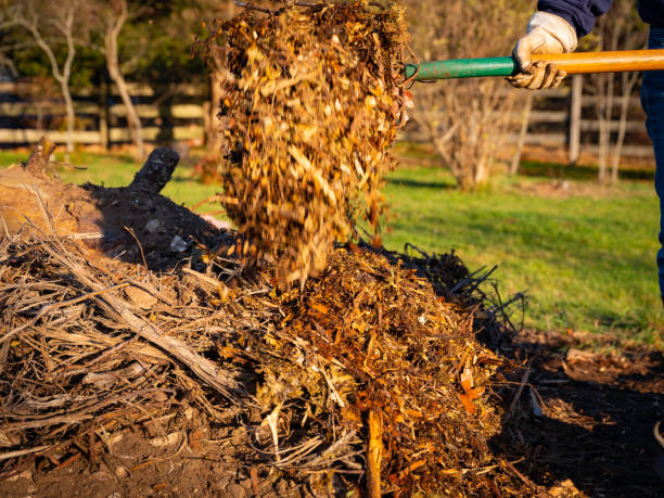 istock Person Adding Compost on Top of the Tree Logs and Branches 1286845705