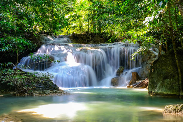 에라완 폭포 1층, 태국 국립공원 - asia kanchanaburi province lake nature 뉴스 사진 이미지