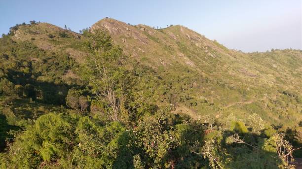 istock Kinnakorai Mountain valley, Tamilnadu 1286847906