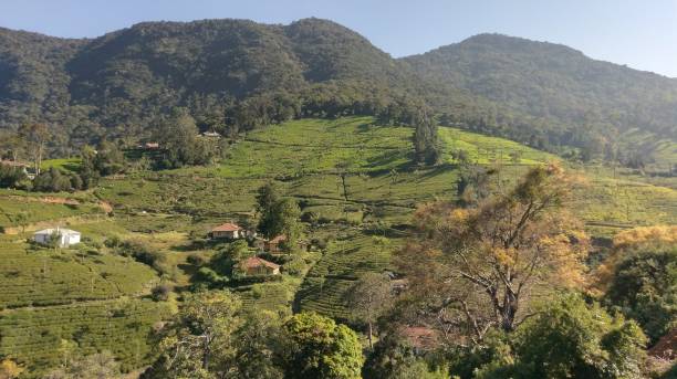 istock Beautiful Kinnakorai Mountain 1286847959