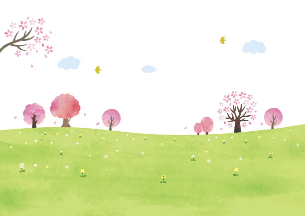 草原と桜の木水彩画 - 丘 イラスト点のイラスト素材／クリップアート素材／マンガ素材／アイコン素材
