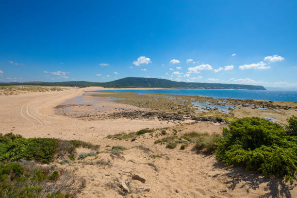istock scenery with Marisucia Beach and Canos de Meca village in Cadiz 1286850233