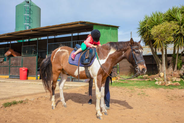 little girl with riding cap climbing on a horse in a manege - teaching child horseback riding horse imagens e fotografias de stock