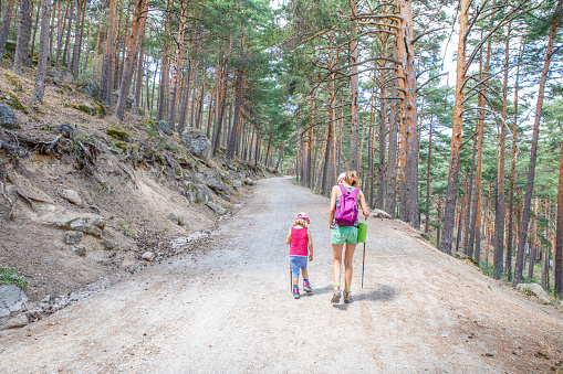 from behind little girl and woman with caps and trekking sticks hiking on trail in forest of Canencia mountain (Madrid, Spain, Europe)