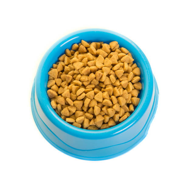 istock Blue plactic feeding bowl filled with cat kibble seen from a high angle view isolated on a white background 1286850476