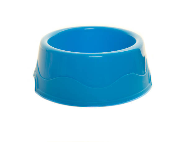 istock Plastic cat or dog feeding bowl isolated on a white background 1286850499