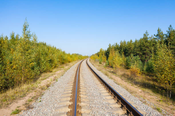 istock Railway through autumn forest. Aerial view 1286850910