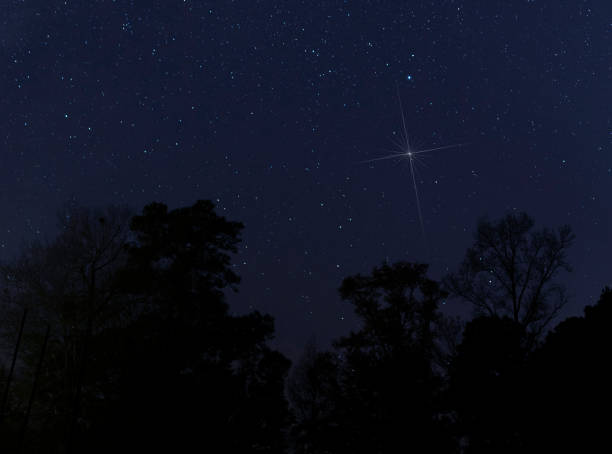 istock Bright Christmas star rising over a dark forest 1286854344