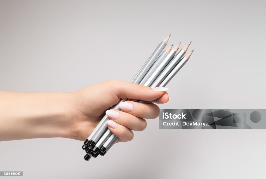 Female hand with white nail design. White nail polish manicure. Female hand hold pack of pencils on grey background. Female hand with white nail design. White nail polish manicure. Female hand hold pack of pencils on grey background Adult Stock Photo