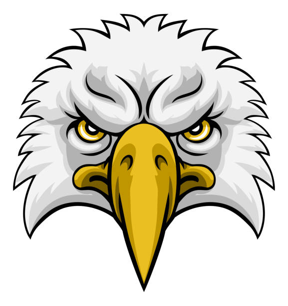 Eagle Head Mascot Face An eagle head face cartoon character mascot illustration falcon bird stock illustrations
