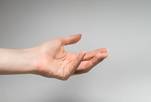 Beautiful woman's hand on the gray background.