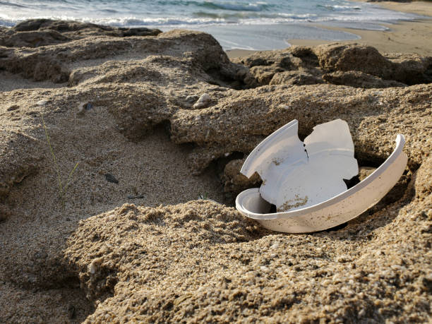 플라스틱 접시는 바다 식물 생태계에 폐기물을 폐기, 바다 쓰레기 오염 서식지 - plastic plate 뉴스 사진 이미지