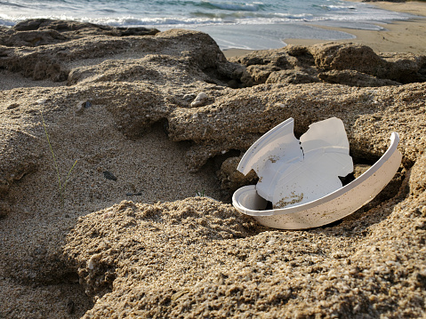Plastic dish waste on sea plants ecosystem,ocean trash contaminated habitats