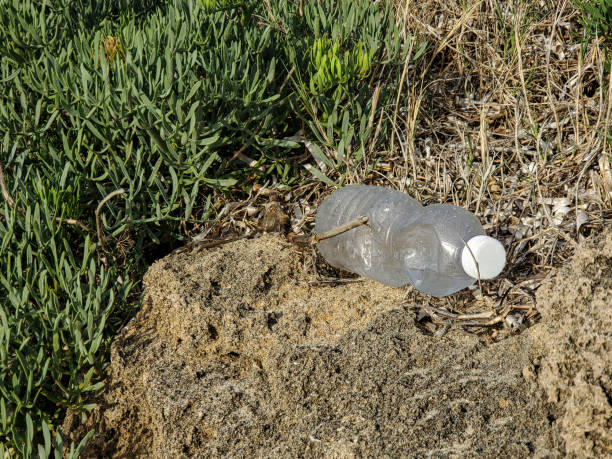 istock Plastic bottle waste on sea plants ecosystem,ocean trash contaminated habitat 1286857267