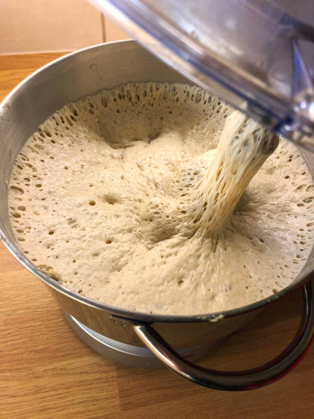 istock Image of rising bread dough in electric food processor mixed by dough hook, elevated view 1286858350