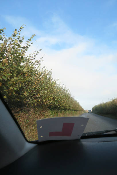 Image of passenger view through car windscreen with L Plate, driving on countryside road lined by hedges