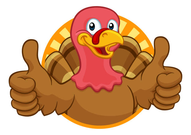 Turkey Thanksgiving or Christmas Cartoon Character Turkey Thanksgiving or Christmas bird animal cartoon character giving a thumbs up rooster open wings stock illustrations