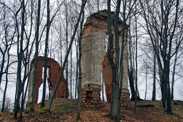 Photo of Ruins of an ancient palace in the old park. A structure destroyed by time. Fall. Cloudy November