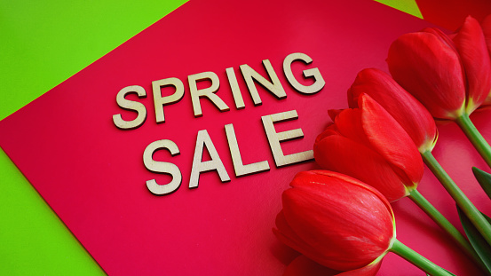 Spring sale banner with pink tulips on colorful background