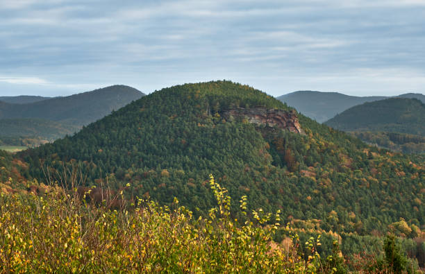 Rolling hills in the Palatinate forest, Germany