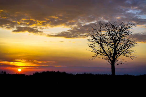 istock beautiful sunset or sunrise on the beach 1286868399