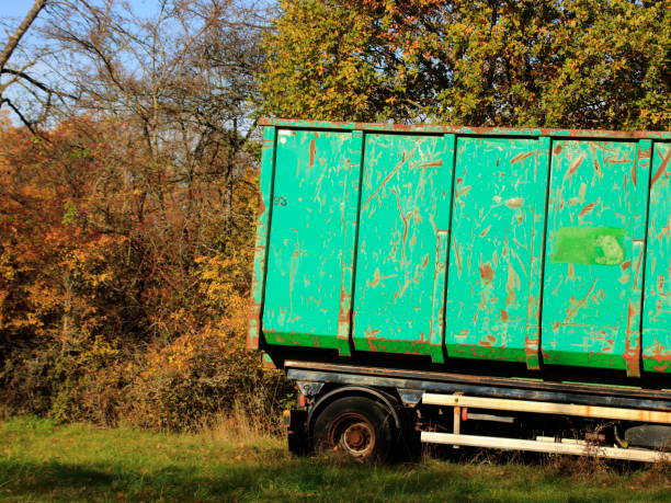 istock Trailer with container stands on a meadow at the edge of the forest 1286869848