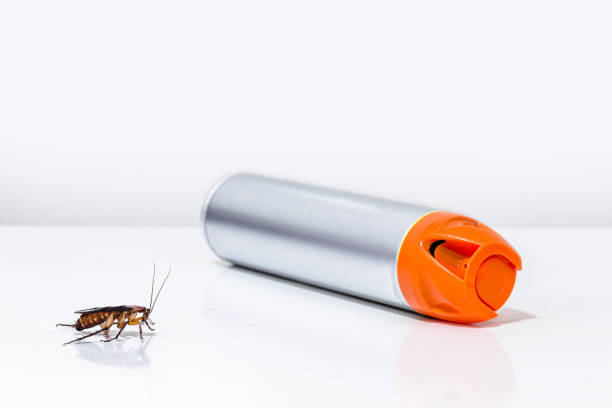 istock cockroach and insect next to a poison spray bottle, white background. Toxins, insecticides, pesticides, pest control at home 1286871407