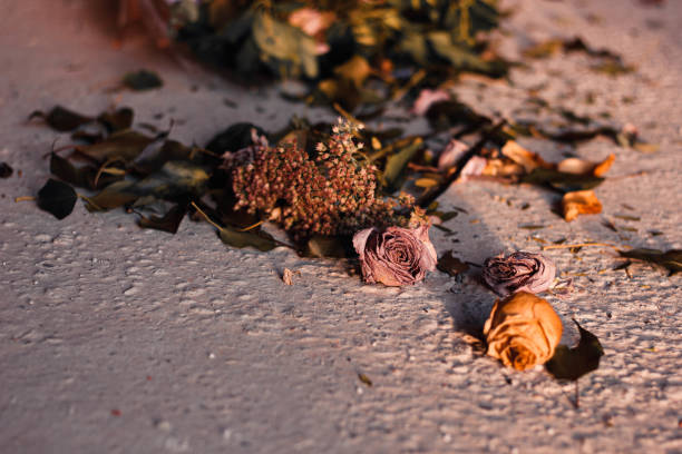 istock Withered Flowers in a Beautiful Sunset 1286872512