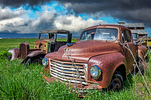Two rusting, vintage trucks sit unused in this field by the barn.