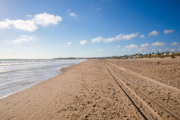 istock seashore of La Barrosa Beach in Cadiz 1286876119