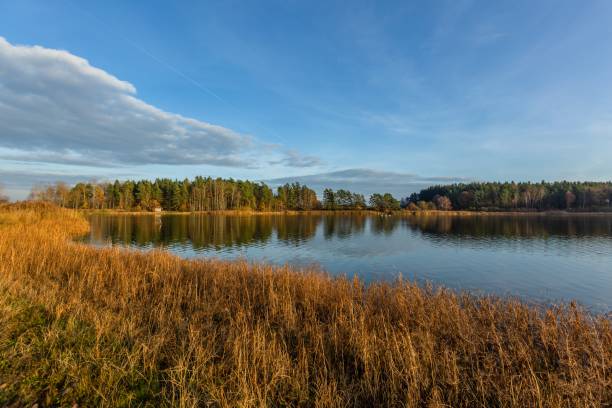 istock The scenery of calm lake 1286881219
