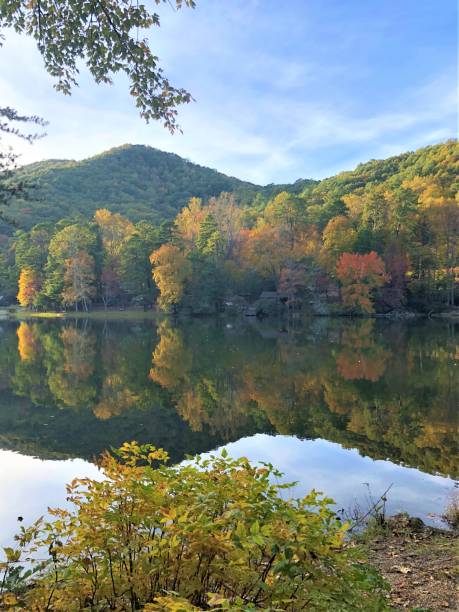 istock Colorful mountain in Autumn 1286881617