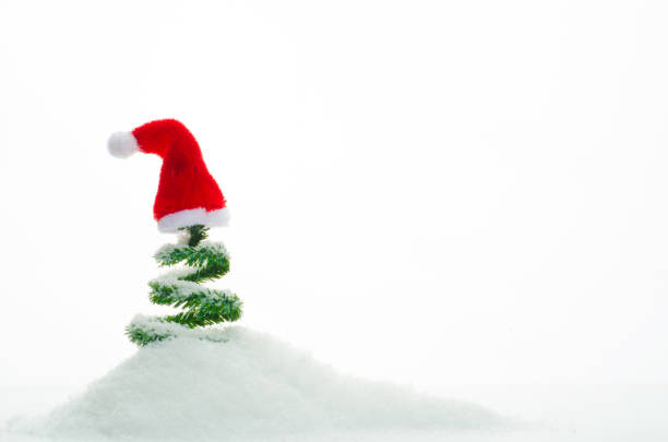 Small Christmas tree with red cap - symbol isolated on white