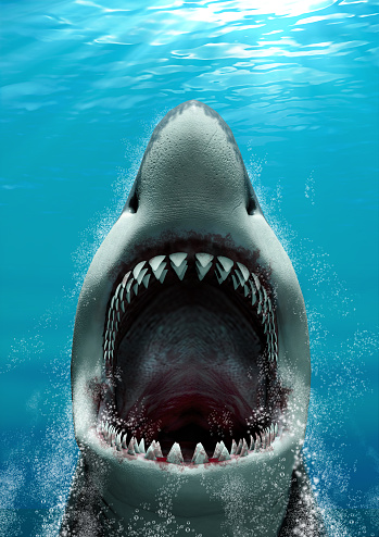 Great White Shark (Carcharodon carcharias) attacking with its mouth open and large teeth, rising fast to the surface, 3d render.