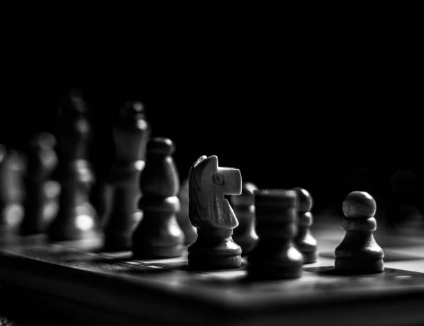 Close-up on Knight from a chess game Close-up and shallow depth of field on Knight from a chess game in black & white black knight stock pictures, royalty-free photos & images