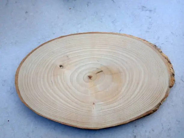 Nice wooden trivet with circles on it.