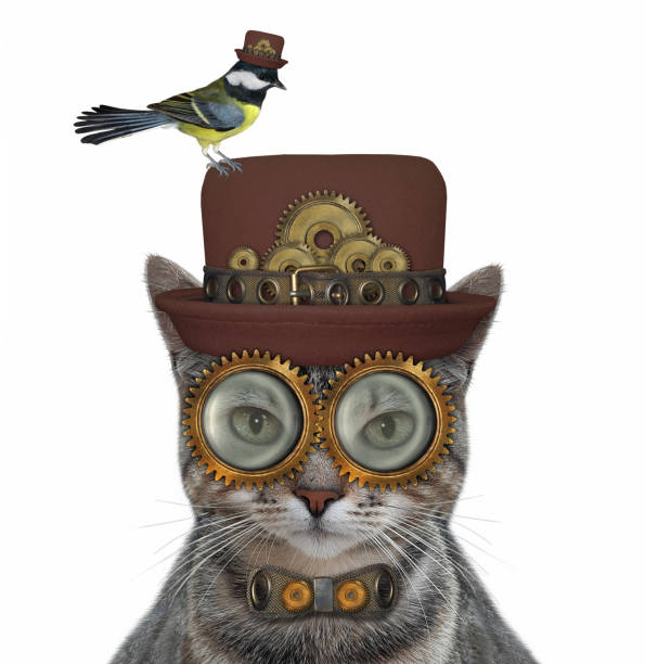 istock Cat gray steampunk2 in metal bow tie 1286888545