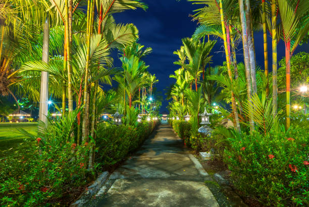 istock Wonderful Sunrise moment at bintan island 1286890214
