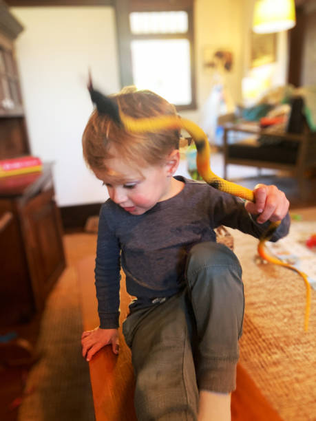 istock Toddler Boy with Toy Snake 1286893934