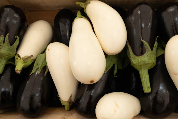 White and black eggplants on a market stall stock photo