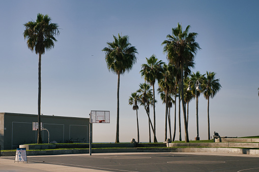 empty basketball arena in venice beach