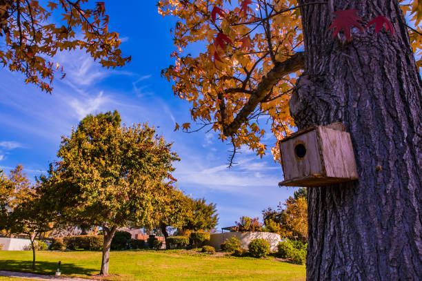 The home of birds is hanging the autumn tree and the mens are stood on the ground, no diffenence as a home.