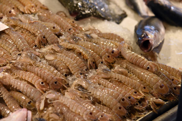 istock Mantis Shrimps at the market 1286900041