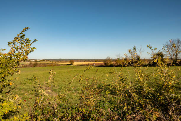istock landscape of the Mediterranean scrubland 1286900694