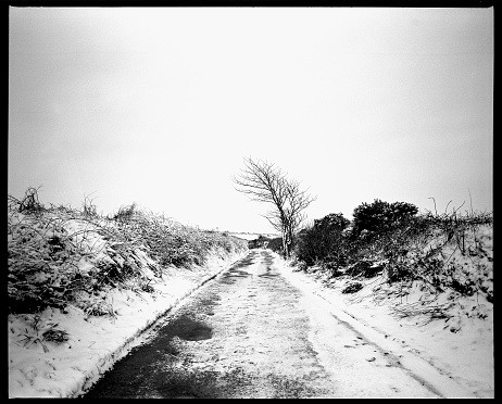 A medium format scan of a snowy landscape in Cornwall, UK.