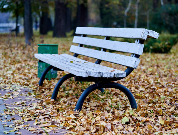 istock leaves fell to the ground in autumn 1286901896